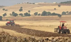 Çınar'da Anız ve Örtü Yangını: Ekiplerin Müdahalesiyle Kontrol Altına Alındı