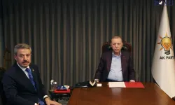 Cumhurbaşkanı Erdoğan'a Şırnak-Van yolu projesi sunuldu