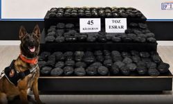 Gizli bölmelere saklanan 45 kilo yasaklı madde bulundu