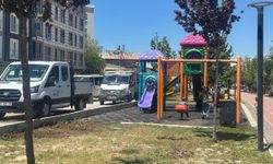 Van'da Çocuklar Trafiğin Kıyısında Oynuyor