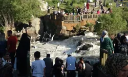 İnci kefali göçüne yoğun ilgi: Yerli ve yabancı turistler akın etti