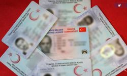 Van’da akıllara durgunluk veren iddia: Kimliği kayboldu, ceza ona çıktı
