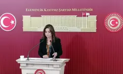 DEM Parti’den Meclis’e Sert Mesaj: “Beklemeye Tahammülümüz Kalmadı”