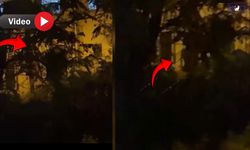 Van’da bıçaklı kavga: 2 yaralı