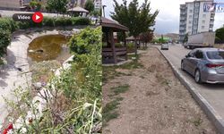 Van’da Akköprü Parkı Kaderine Terk Edildi