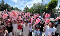 Van'da TEGV İlkbahar dönemini şenlikle sona erdirdi