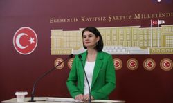 DEM Parti Van Milletvekili Sayyiğit: Van'ın Sorunlarını Meclise Taşıdı