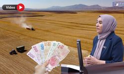 Vanlı Vekilden Arazi Satışlarına Tepki: Çiftçileri Uyardı!