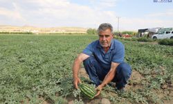 Tuşba Belediyesi tarımsal üretime desteğini sürdürüyor
