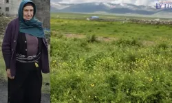 Ot Biçme Sırasında Yengesini Vurdu, 14 Yaşındaki Çocuğu Ağır Yaraladı!