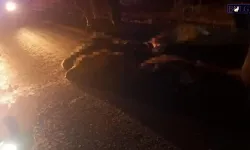 Koyun Sürüsüne Daldı! Ortalık Can Pazarına Döndü!