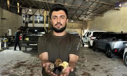 Bir Belgeselden Fabrika Hayaline Uzanan Yolculuk