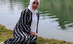 Bitlis'te eşini vuran şahıs tutuklandı