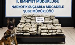 Narkotik Operasyonu! Araçtan 57 Kilo Skunk Çıktı