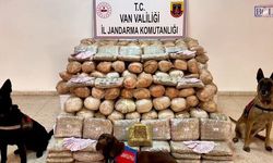 Van’da dev operasyon! TIR’dan 333 kilo skunk çıktı