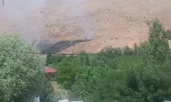 Bitlis’te Korkutan Yangın! Alevler Arı Kovanlarını Küle Çevirdi