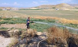 Van'da Anız Yangını Korkuttu