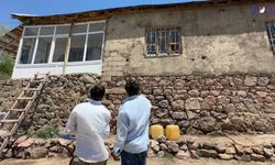 Evin Her Köşesinden Yılan Çıkıyor! Hakkari'de Bir Aile Korku İçinde Yaşıyor