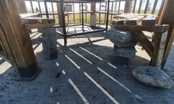 Van'da Milyonluk Parktaki Görüntüler Pes Dedirtti!