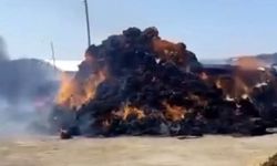 Alevler dakikalar içinde kül etti! Çiftçinin aylarca biriktirdiği ot balyaları yok oldu