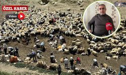 Van'da Kırsal Kültüre Dikkat Çeken Çağrı: "Bu Miras Kaybolmamalı"