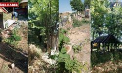70 Yıllık Ağaçlar Projeye Kurban Ediliyor