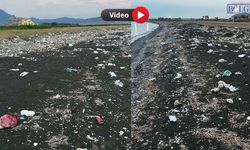 Van Gölü Sahilini Görenler Kaçtı!