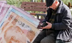 Vanlı Emekliler Dikkat! ÖTV'siz araçta kritik detay!