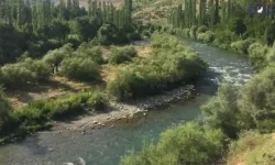Balık tutarken akıntıya kapılan 28 yaşındaki genç kayıp