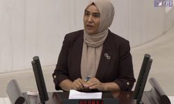 Dem Parti Van Milletvekili Gülderen Varlı TBMM’de Torba Yasayı Eleştirdi