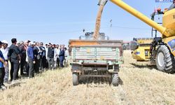 Van’da İlk Hasat Yapıldı! Vali Balcı Çiftçilere Verilen Destekleri Açıkladı
