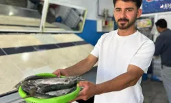 Av Yasağı Sona Erdi! İnci Kefali Yeniden Tezgahta
