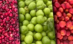 Rusya’dan Türkiye’ye Meyve Freni! 5 İhracatçı Firmaya Kısıtlama Kararı