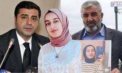 Demirtaş ile görüşen Nizamettin Kabaiş’ten önemli açıklama