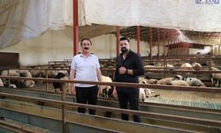 Van'da Üreticiden Acil Çağrı! "Pazar Yok, Hayvancılık Zor Ayakta Duruyor"