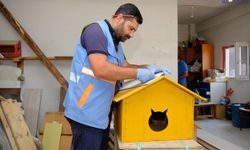 Van'da Sokak Kedileri İçin Anlamlı Proje!