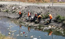 Van Gölü İçin Yeni Önlem! Derelerden Gelen Atıklar Yüzer Bariyerlerle Tutuluyor