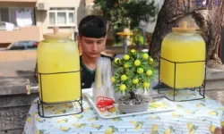 14 Yaşında Limonata Satarak Servet Kazanıyor! Günlük Geliri Dudak Uçuklattı