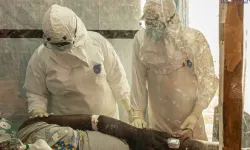 Kongo’da Ebola alarmı: Vaka sayısı 5 bini aştı