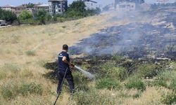 Van'da Korkutan Anız Yangını!