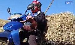 “Yok Artık” Dedirten Çözüm! Motosiklete El Arabası Bağlayıp Ot Taşıdı