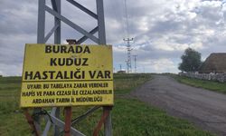 Ardahan’da Kuduz Alarmı: Mahalle Karantinaya Alındı, Giriş Çıkışlar Yasaklandı