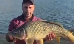 Keban Baraj Gölü’nde dev sazan şaşkınlığı! Tam 10 kilo
