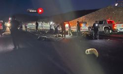 Van'da Trafik Kazası: Araç Koyun Sürüsüne Daldı: 2 Yaralı