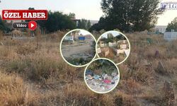 Van’da mezarlıkta tepki çeken görüntü! Mahalleli yetkililere seslendi