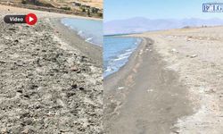 Van Gölü’nün Sahili Çöplüğe Döndü! “Van Sahipsiz Gerçekten”