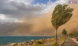 Van için kuvvetli rüzgâr ve toz taşınımı uyarısı! Meteoroloji alarm verdi