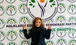 Türkan Kayır DEM Parti’den İhraç mi edildi? Türkan Kayır Kimdir? İdil Belediye Başkanı AK Parti’ye mi Geçti?
