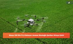 Maaşı 250 Bin TL’yi Buluyor: Aranan Mesleğin Şartları Ortaya Çıktı!