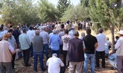Ramazan Öcalan Neden Öldü? Ramazan Öcalan Abdullah Öcalan'ın neyi olur? Ramazan Öcalan Kimdir?
